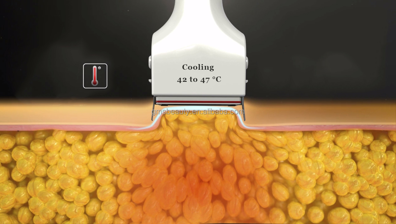 42 to 47C.jpg