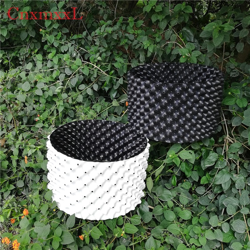 high quality forest seedling tray