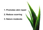 Natural Tattoo Repair Cream Aloe Vera Effective Repair Lip Eyebrow Eye
