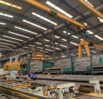 Articulated Trolley Jib Tower Crane Hammer Head 16 Ton