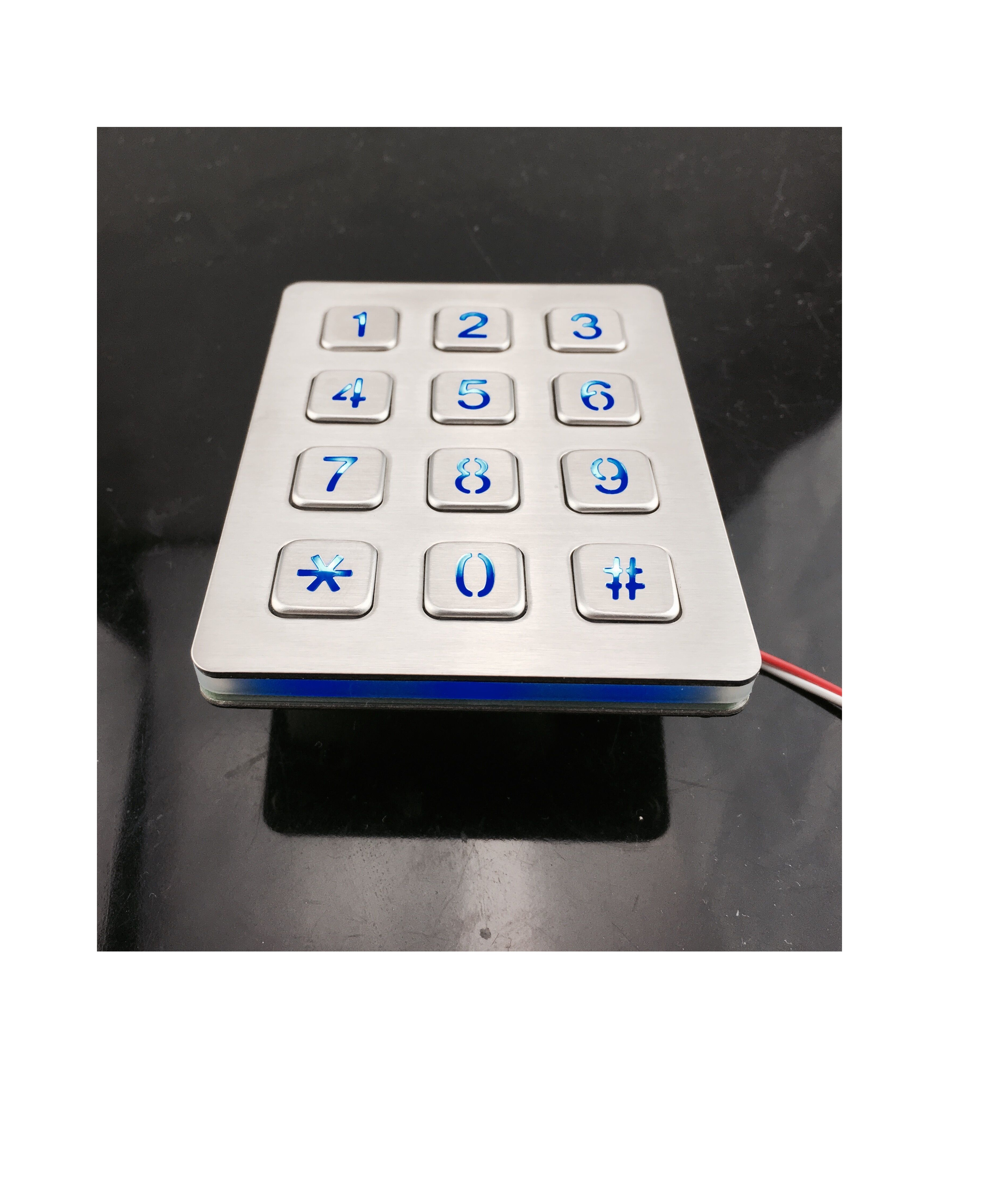 12 keys Panel mounted stainless steel illuminanted keypad with male pin out connector