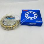 NU5248 M Cylindrical Roller NUPF800 MA