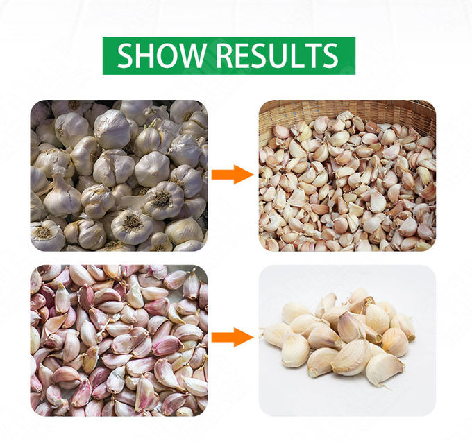 1000kg/h Automatic Food Processing Machines Garlic Peeling Grading Sorting Machine