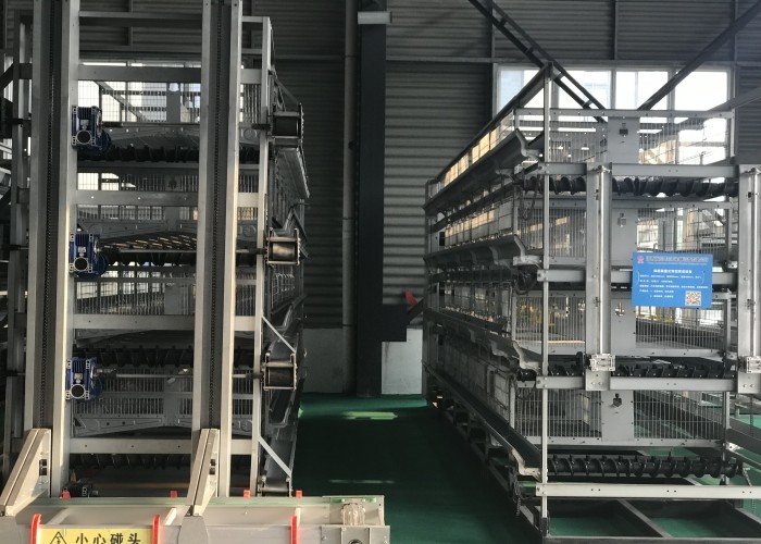 Poultry House Automatic Poultry Feeder System for chicken house