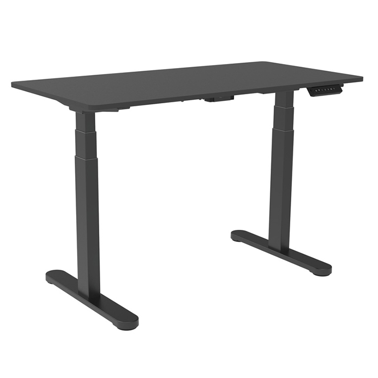 Office Dual Motor Electric Sit Stand Desk with Wood Grain Top and Adjustable Height
