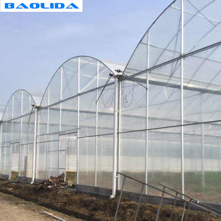 Vegetable Polyethylene Plastic Sheeting Greenhouse Galvanized Steel Frame