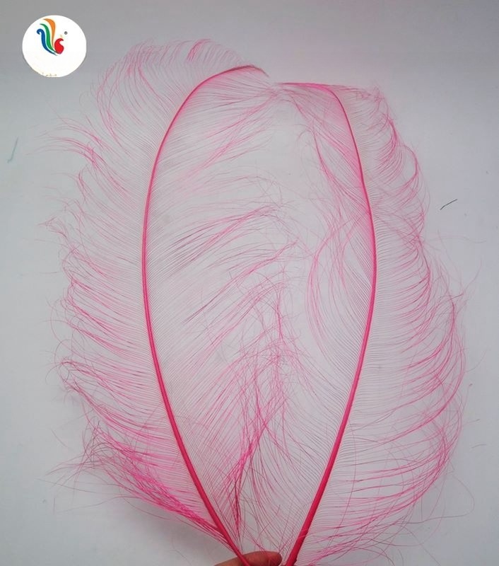 FEDEX Shipping Feathers Millinery Supplies Burnt Ostrich Feathers 50-55cm Hat Decor