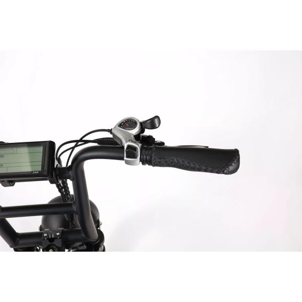 48V1000W Motor Full Suspension Shock Electric Retro Bike with Customised Beach Bikes Cruisers