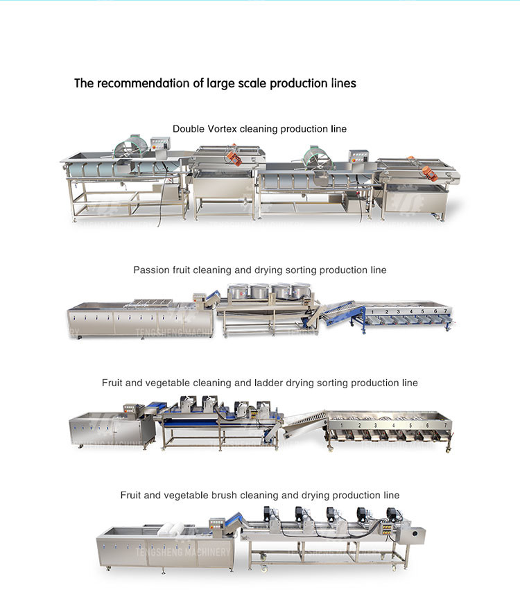 1.5KW Cassava Vegetable Processing Machine Canning Plant Industrial SS