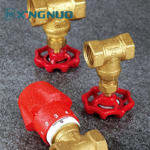 China Corrosion Resistant Stop Gate Valve 200 PSI Pressure Rating Durable NPT BSP Thread wholesale