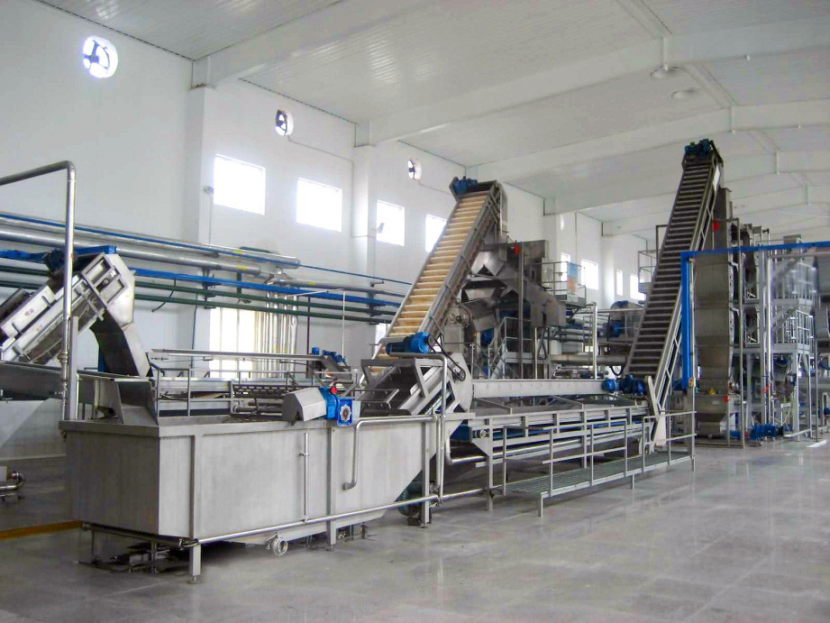 High Performance Customized Blueberry Processing Line Blueberry/Strawberry/Raspberry Production Plant Blueberry Juice/Pulp/Jam Machine With PLC