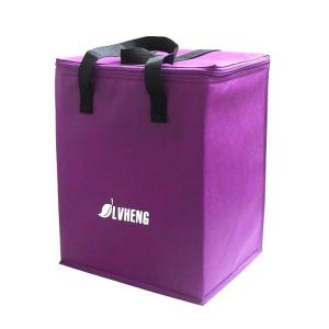China Non Woven Wine 20x15x20cm 80gsm 2mm EPE Insulated Cooler Bag wholesale