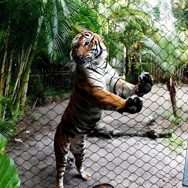 304 316 Hand Woven Stainless Steel Drop Prevention Cable Safe Net For Floodlight Protection