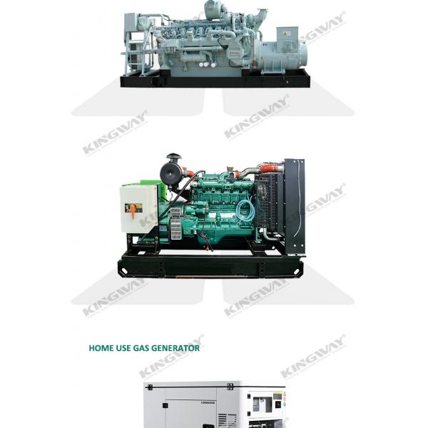 Customized Gas Generator 50HZ 60HZ Silent Natural Gas Generator