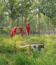 China TSP-Flush40 drilling rig for farmland area wholesale