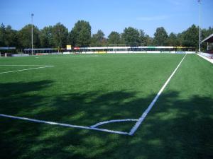 China Waterproof Natural Looking Artificial Grass Football Pitches Fake Grass Carpet wholesale