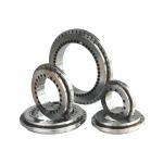 YRTM Milling Machine Roller Rotary Table Bearings High Rigidity