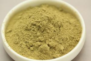 China Herb medecine Aloin/Aloe Ferox Miller Extract/Aloe Vera Extract Powder wholesale
