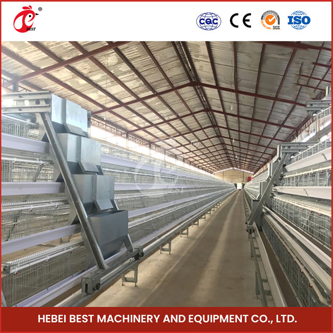 Field Installation Poultry Layer Cage 90/96/120/128/160/200 Capacity Nipple Drinker Star