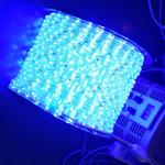 110V /220V led rope light