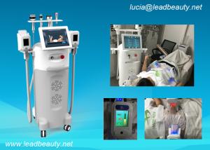 China Multi-5 heads Body weight loss fat freezing equipment / Cryo therapy fat lose machine wholesale