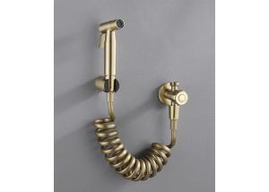 China Modern Hotel Brushed Gold High Pressure Toilet Bidet Shattaf Wall Mounted wholesale
