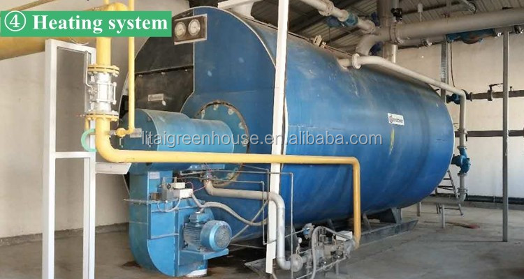 Namibia Africa Gutter Connected Greenhouse with Optimal Ventilation and Single Layer