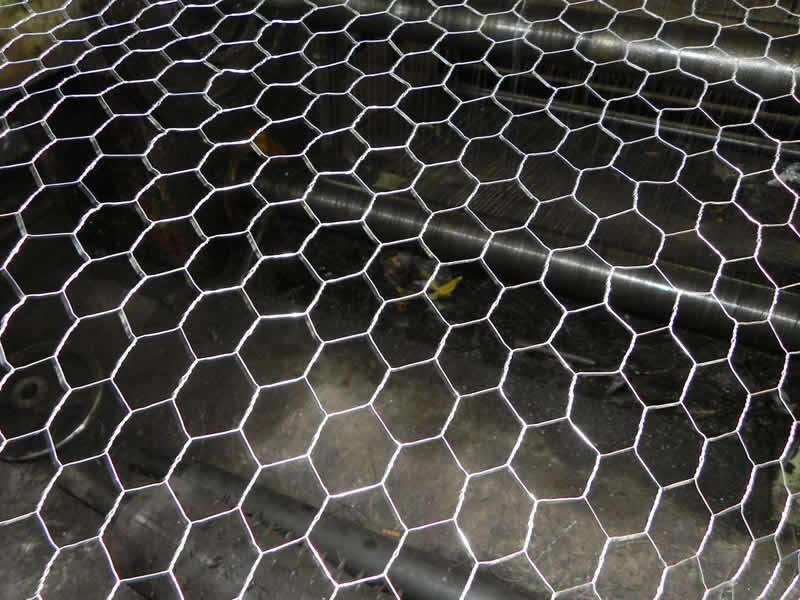 Chicken Mesh Hot Dipped Galvanized Hexagonal Wire Mesh/chicken Wire/pvc Coated Chicken Wire Netting 3/4 Inches