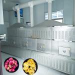 MT Multifunctional Wood Microwave Drying Machine 915MHZ
