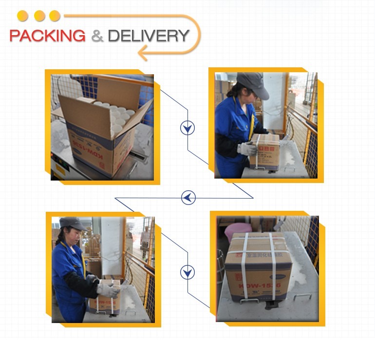 Fast Curing Solar Panel Sealant Paste Appearance 310ml/400ml/25KG Packing
