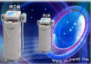 China HOT! Best seller cryolipolysis cool slimming machine with CE certification wholesale