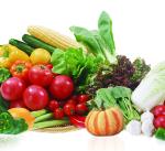 Electric Fruit Vegetable Processing Machine Kitchen OEM ODM 1.75L