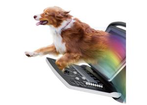 China Professional CW Ultrasound Medical Veterinary Equipment High Velocity Detection wholesale