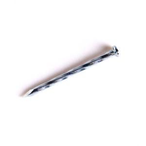 China Spiral Shank Galvanized Finish Hardened Steel Concrete Nails Flat Head wholesale