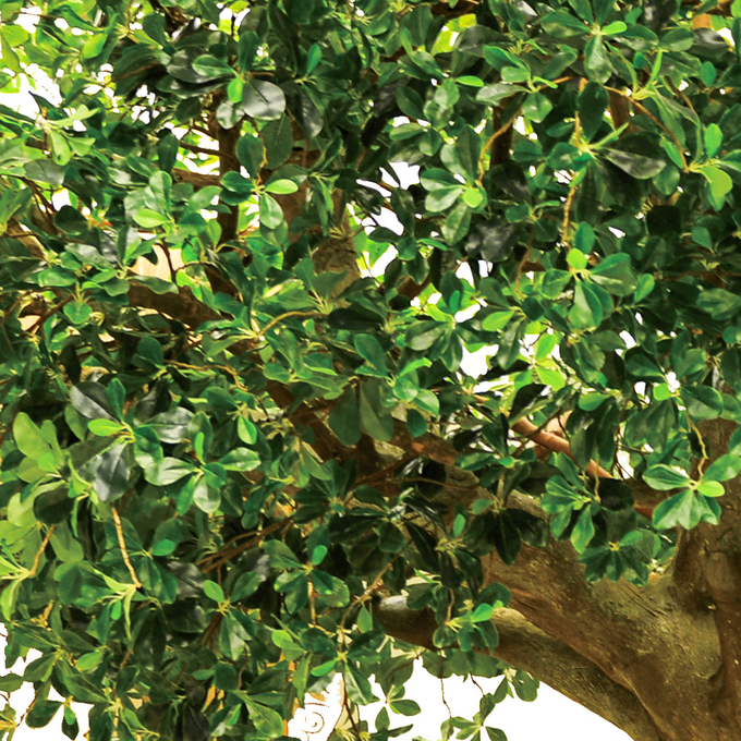Height 300cm Artificial Realistic Fake Trees , Realistic Fake Trees All Season