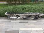 Excellent Adhesion 2800mm Stainless Steel Garden Benches