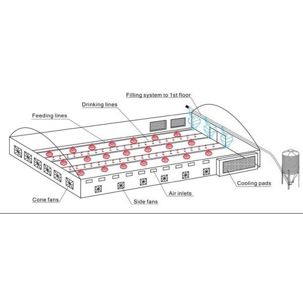 Complete Auto Broiler Poultry Farm System For Chicken Water