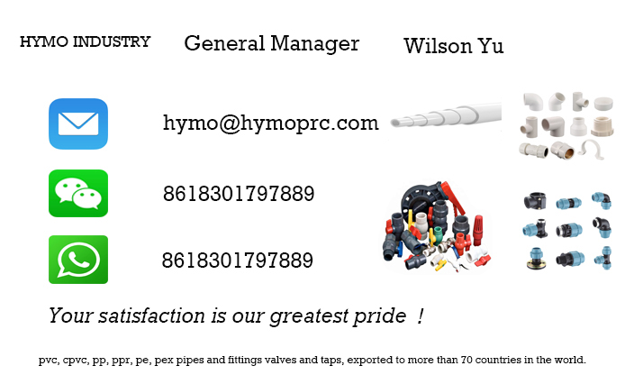 STANDARD Thickness 2 Inch Plastic Double True Union PVC Ball Valves with ABS Handle