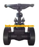 ANSI A105N forged gate valve