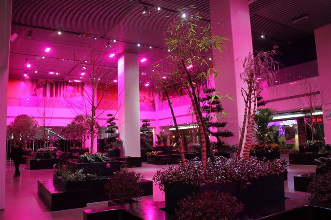 led grow light, led plant grow light, led grow lights, led plant grow lgihts, plant grow tube, big power laser light, st