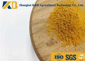 China 10% Moisture Dried Corn Non Gmo Protein Powder Promotes Lipid Metabolism wholesale