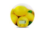 Colorful Printed Round Glass Platform Max 5KG Digital Kitchen Scale
