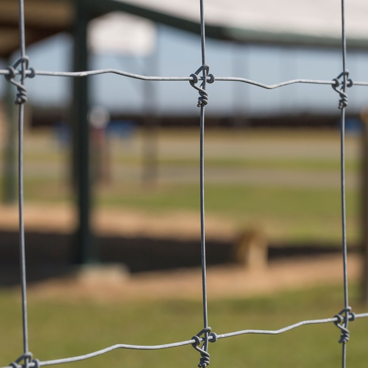 Hot Dip Galvanized Deer Fixed Knot Fence 4ft 5ft 6ft 7ft 8ft