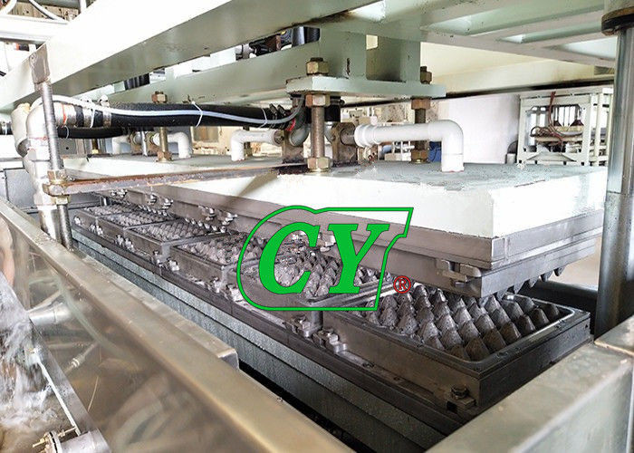 Automatic egg tray machine egg carton machine pulp molded production line