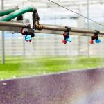 Polytunnel Sprinkler System / Food Grade PVC Greenhouse Watering System