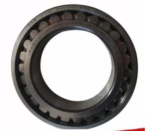 China GCr15 Double Row SL014838 Cylindrical Roller Bearings wholesale