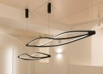 Post-Modern Art Chandelier Individual Creative Led Light Product long Big