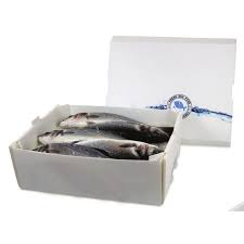 PP Corrugated Plastic Box for Vegetable and Fruit Agriculture Packing box