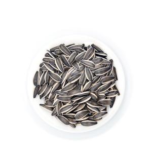 China Amazon hot sale Wholesale best Quality China Manufacturer Sunflower seeds 363 wholesale
