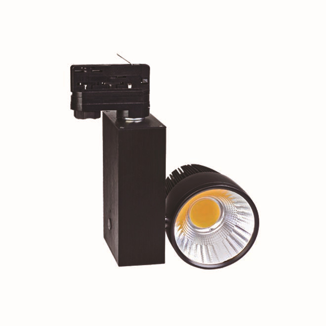 Professional Manufacturer Epistar chips 2*10W COB LED Tracklight